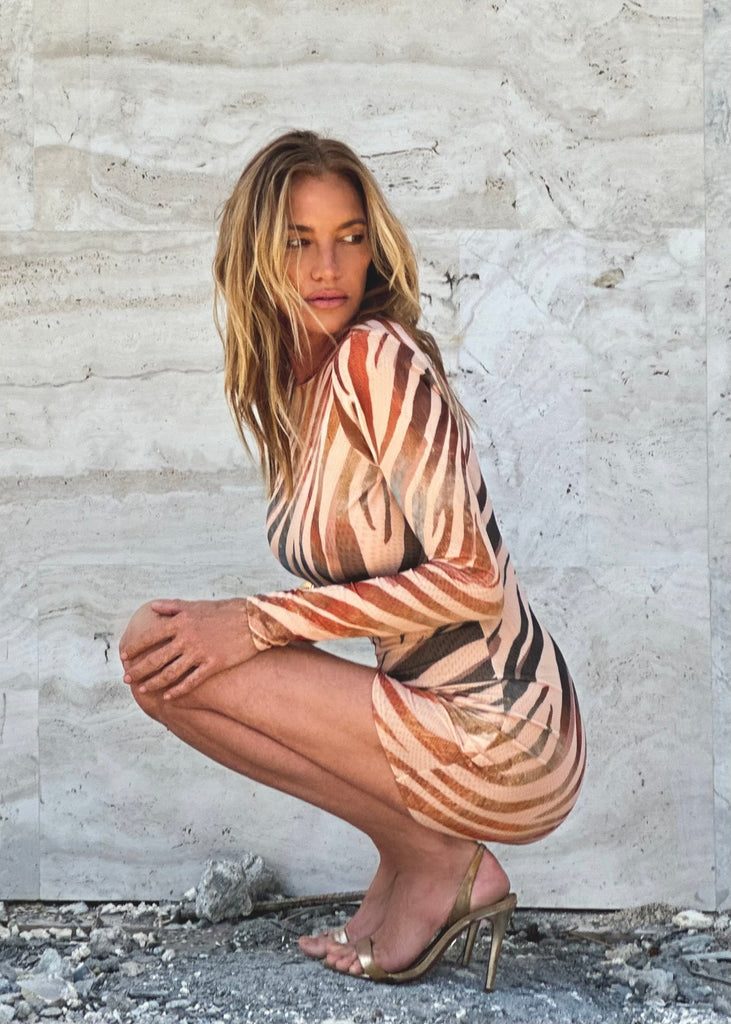 Paris mini dress Rainbow Zebra